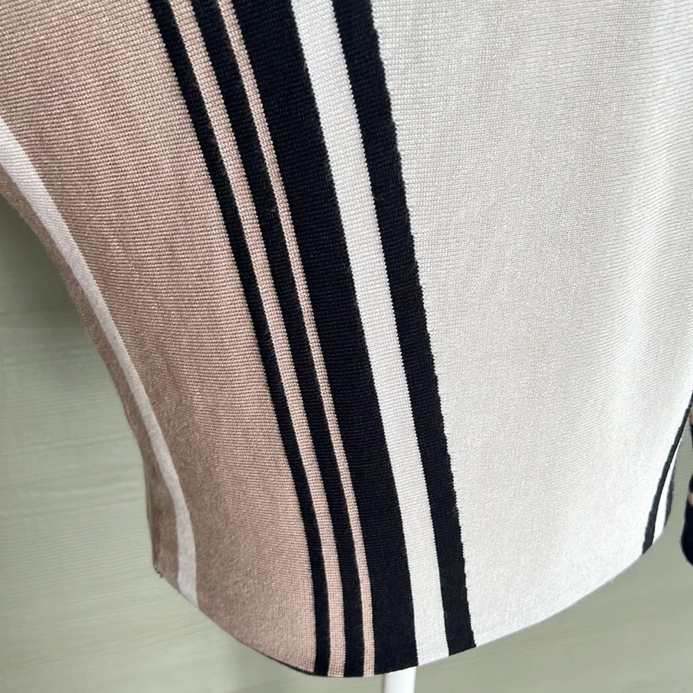 T Tahari Striped Sweater